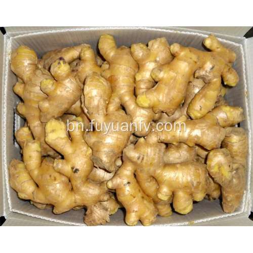 ভাল বায়ু 200g এবং আপ আদা শুকনো